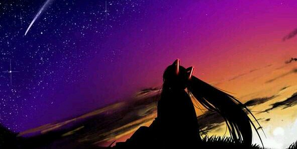 iwashi8901's profile banner image