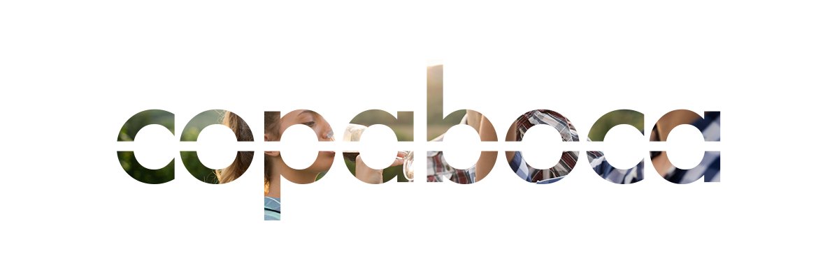 Bodegas Copaboca banner