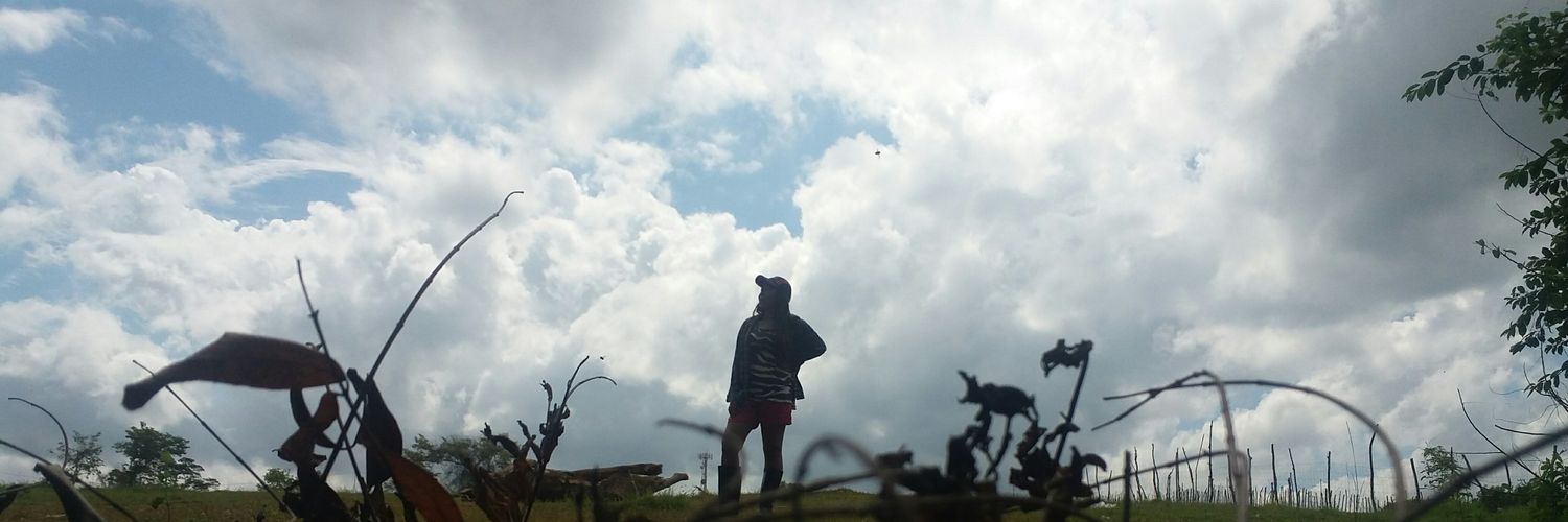 nylamle's profile banner image
