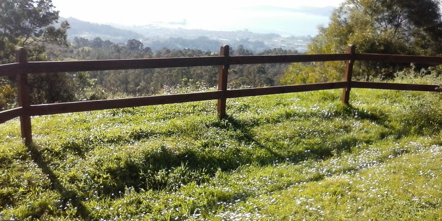 sanbernardeli's profile banner image