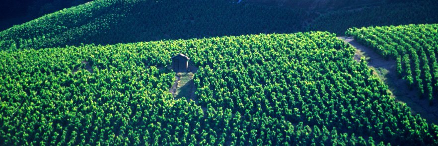 DomaineDirect's profile banner image