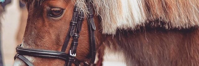 TipiskaMeitene's profile banner image