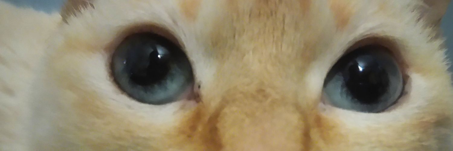 orontiel's profile banner image