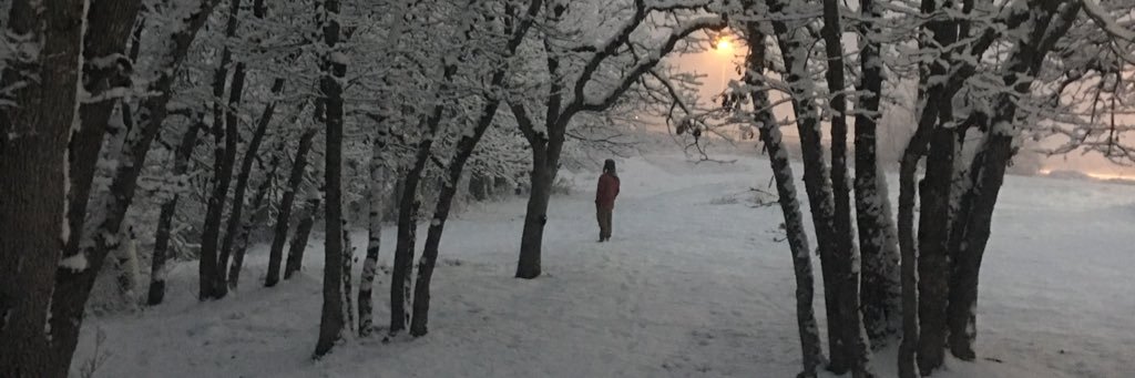 AustinWalker93's profile banner image