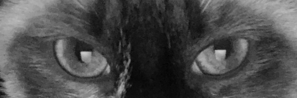 ItsAlexanderICW's profile banner image