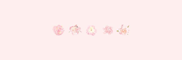 caeliorin's profile banner image