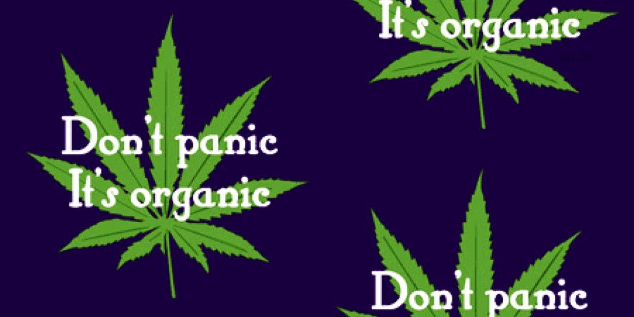 putu_nova's profile banner image