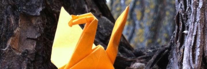 RORossier's profile banner image