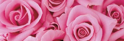 Kelli_Calton's profile banner image