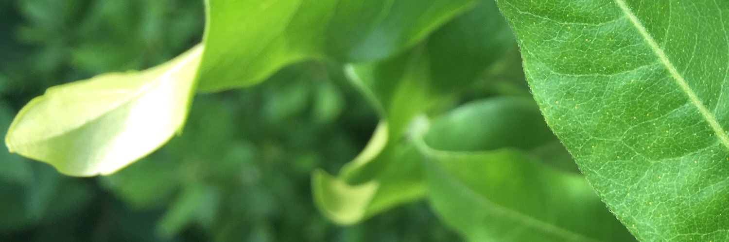 _lancesamuel's profile banner image