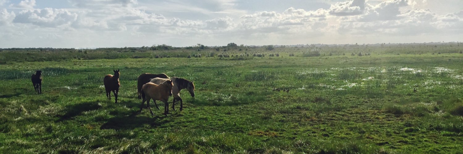 Maschinenbauer banner
