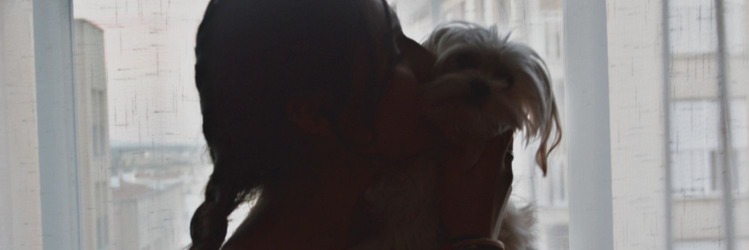 Noe_saanchez's profile banner image