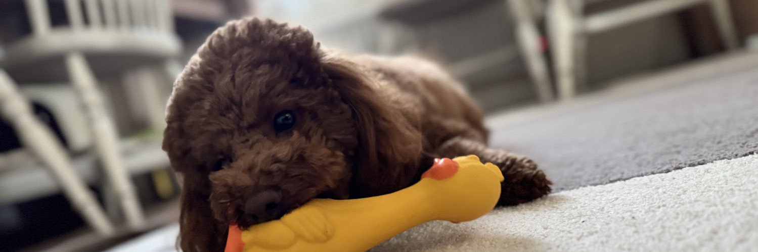 こーきんぐ banner