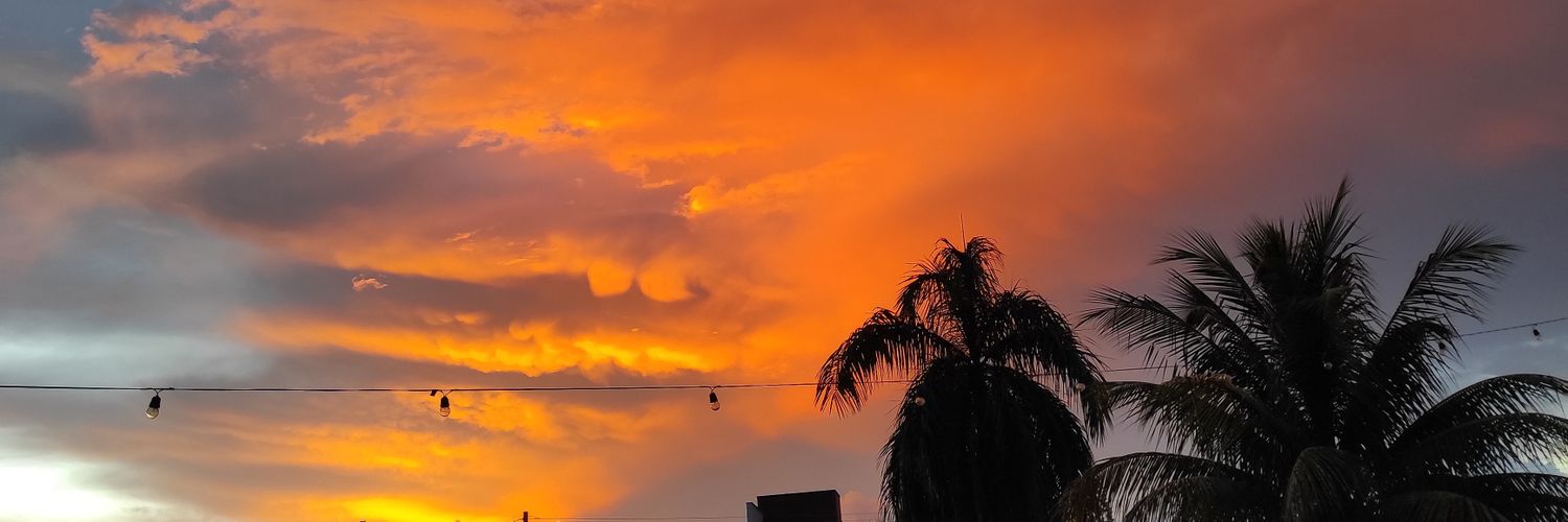 lexiqueiroz's profile banner image