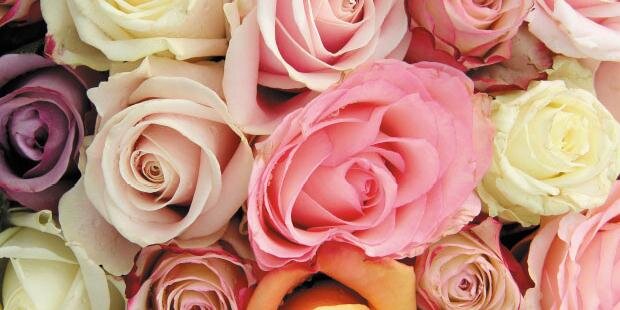 Education Santé banner