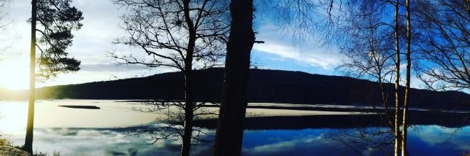 Pritty Patel-Grosz banner