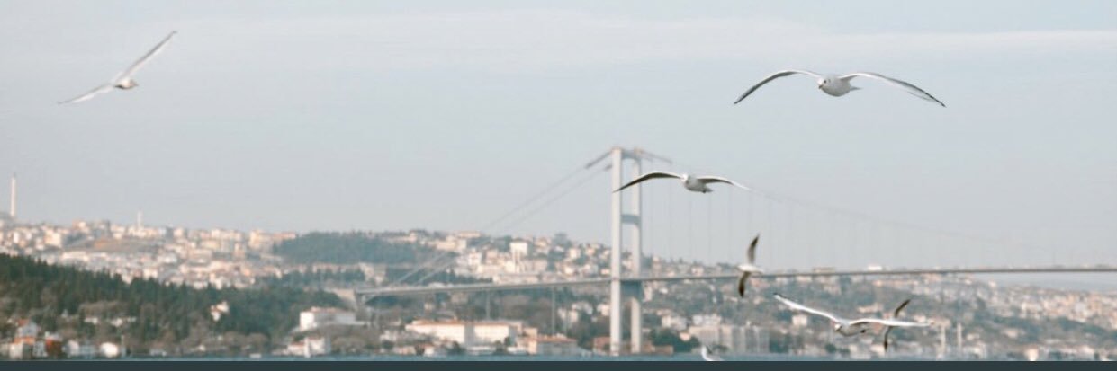 eneshalilerdal's profile banner image