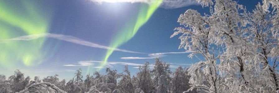 Michael vd Poel banner