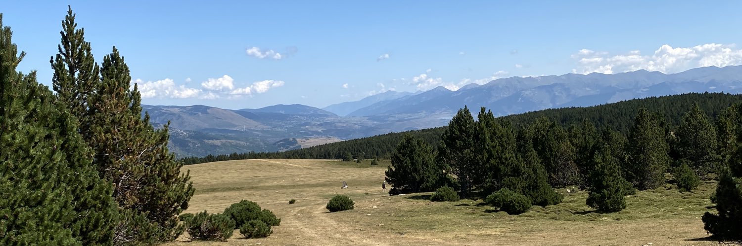 AlbaCortina's profile banner image
