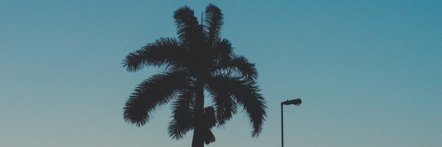 SirNdoux's profile banner image