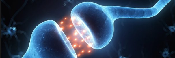 Mr. Keller 👁️❤️ (🐑)^3 !!!! banner