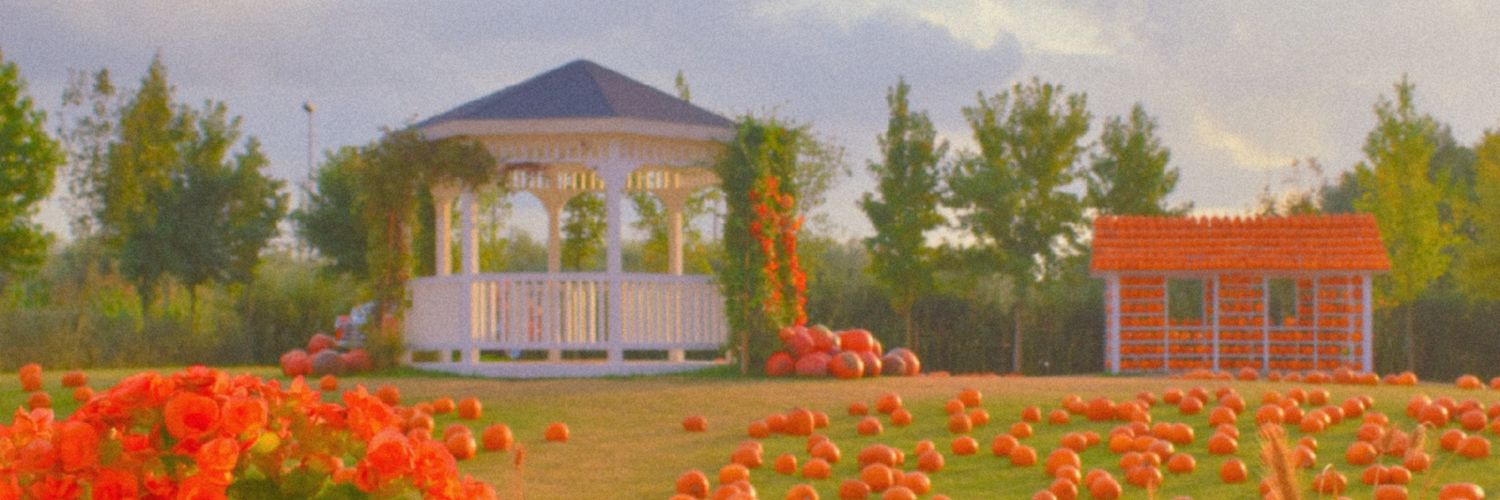 caccabomba's profile banner image