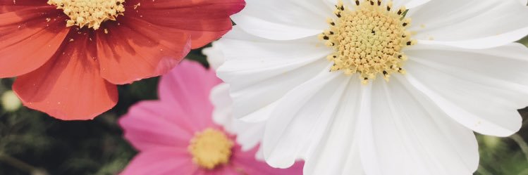 myv5382's profile banner image