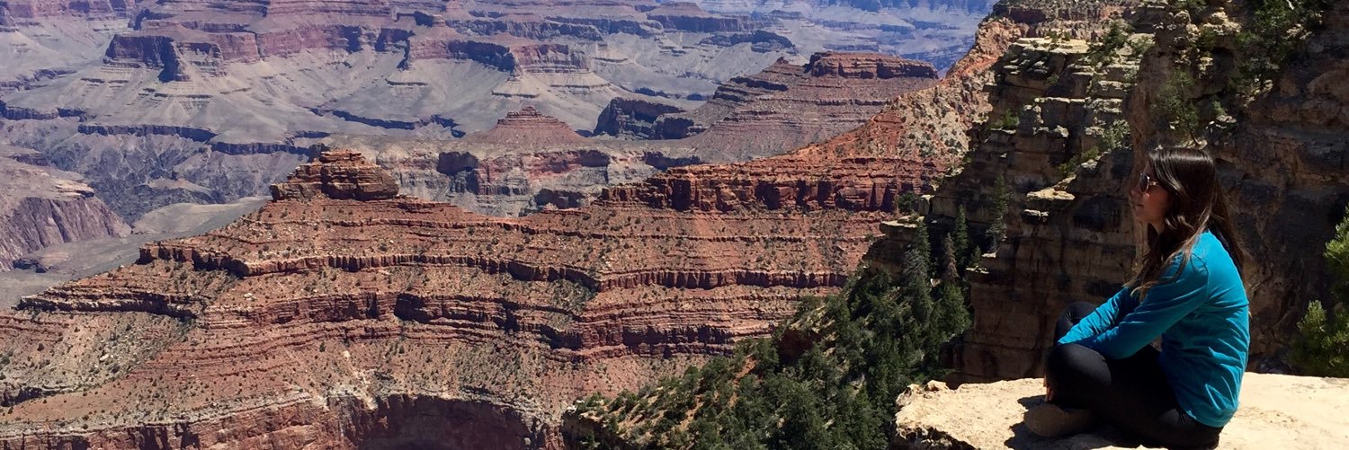 evievis's profile banner image