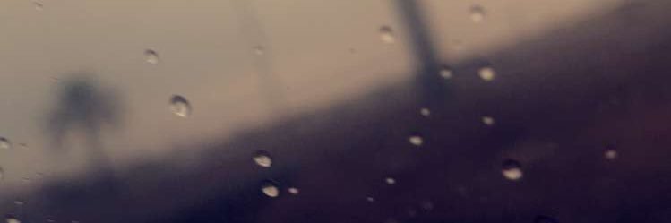 Reham42541660's profile banner image