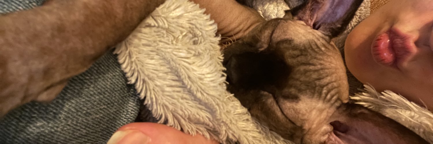 MadowMadow's profile banner image