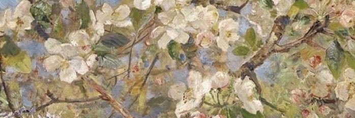 Alyssumoon's profile banner image