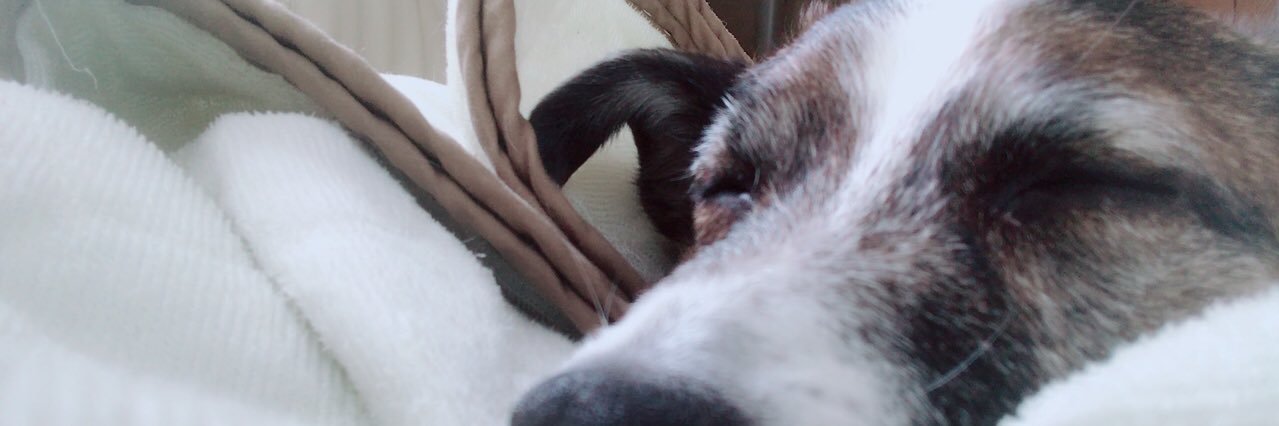 815Am's profile banner image