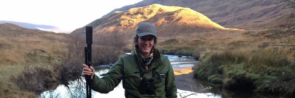 Cara @ IHS Ltd banner