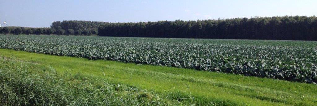 Johns_Farm's profile banner image