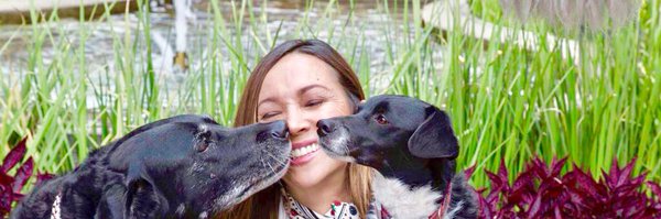 darcyquinnr Profile Banner