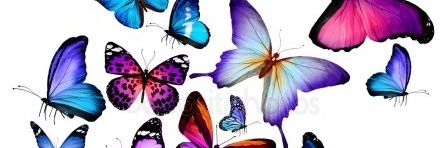 florbonfim's profile banner image