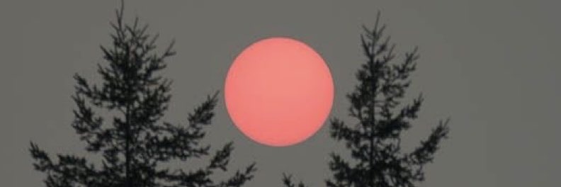 creetus capital analytics banner