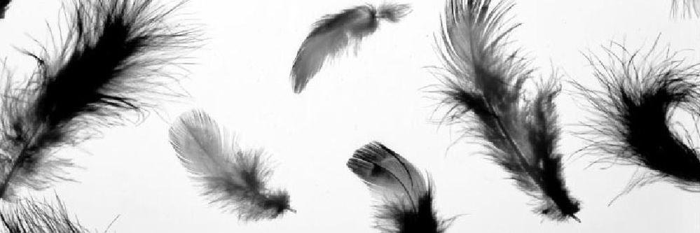 JessieAndersonL's profile banner image