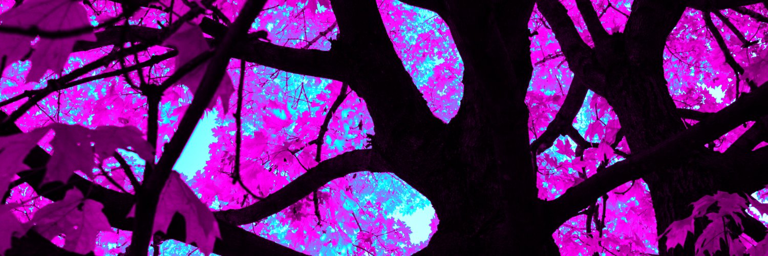 disastrophe's profile banner image