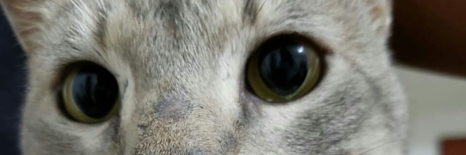 ericG_C's profile banner image