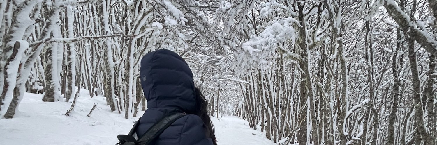 carimanzi's profile banner image