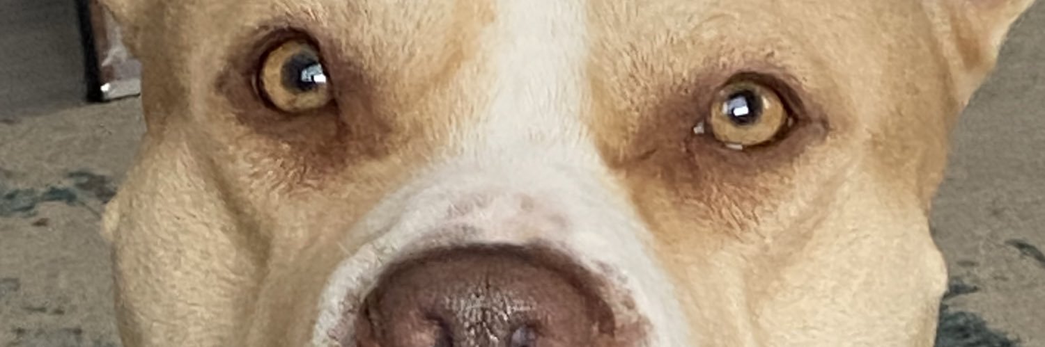 NickijaneN's profile banner image