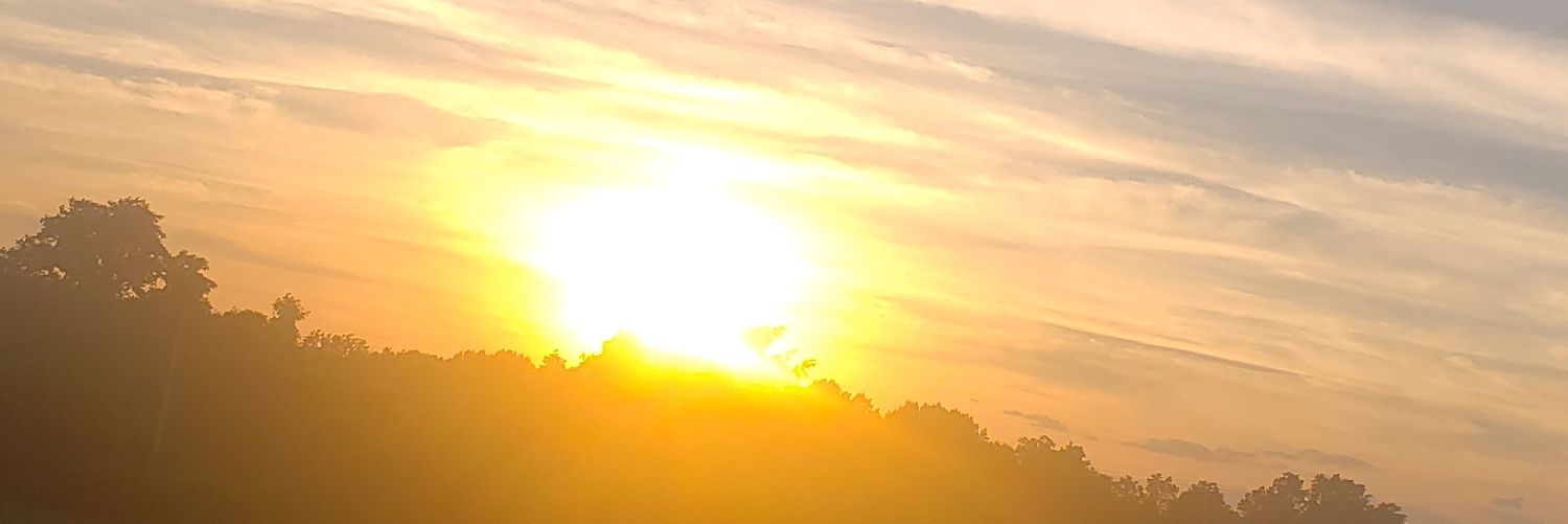 ELDECALiFAS559's profile banner image
