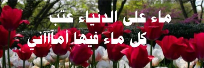 bent11wast's profile banner image