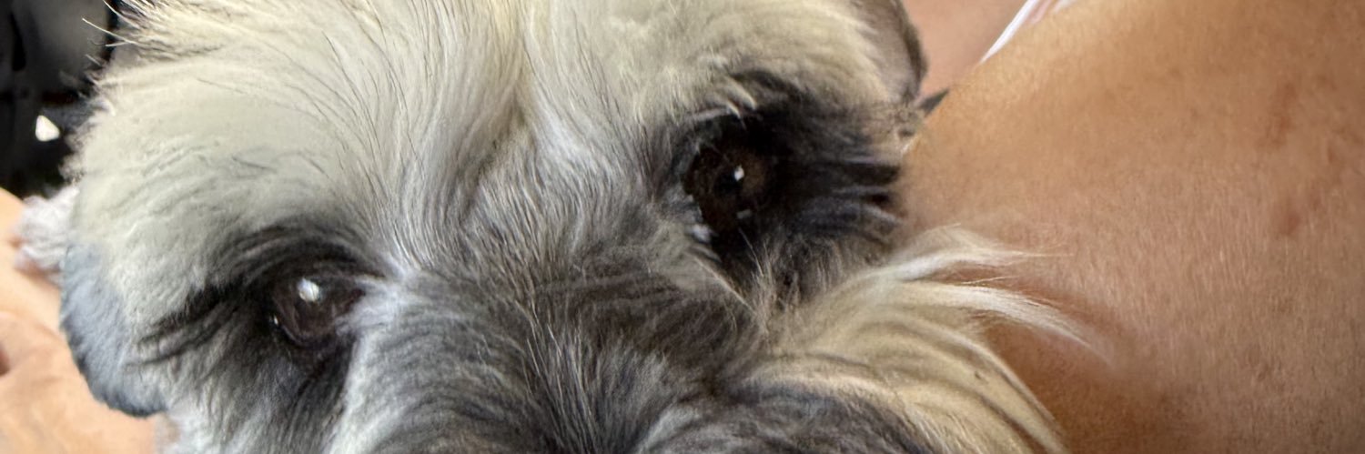 beeatricia's profile banner image