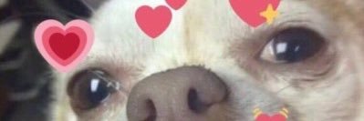 Niajamesy's profile banner image