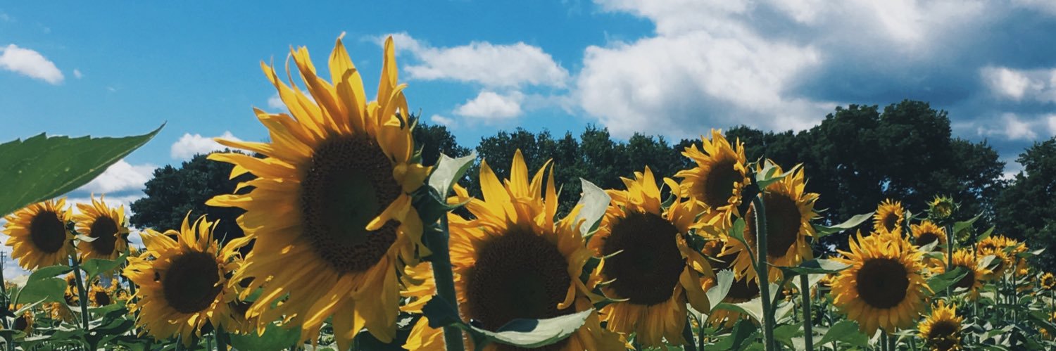 jennablomquist's profile banner image