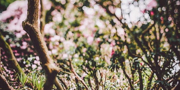 eimdog's profile banner image