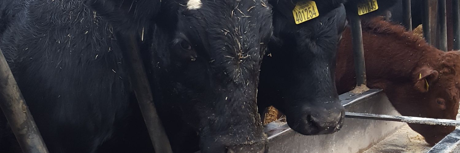 WoodwardsFarm's profile banner image