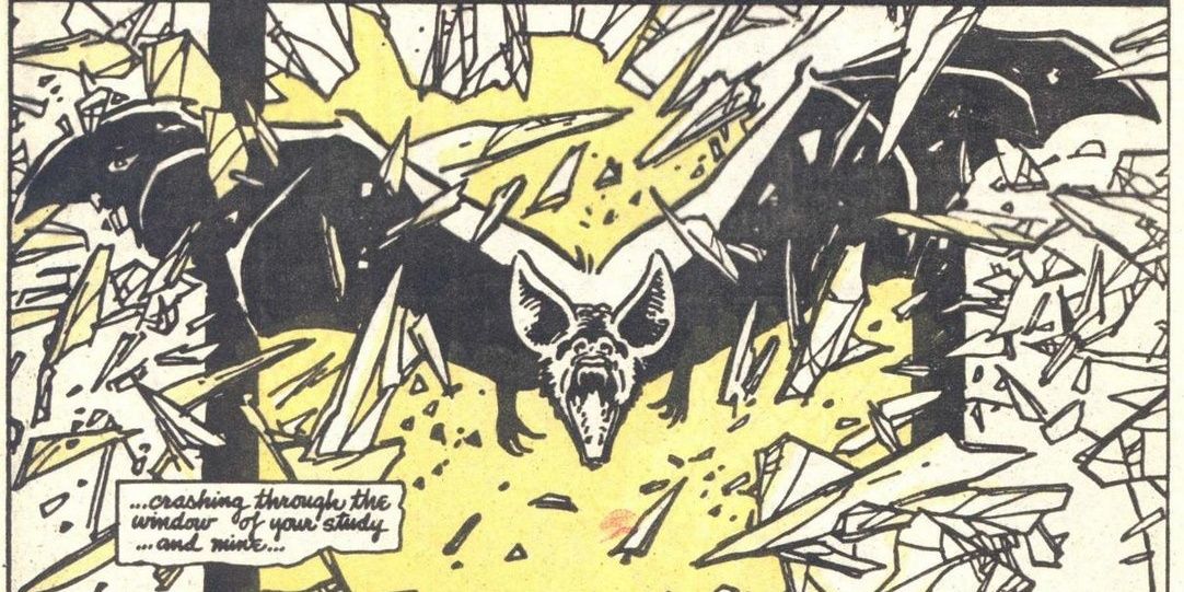 superlamon's profile banner image